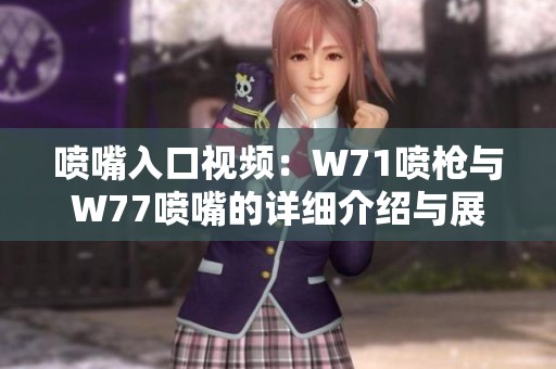 喷嘴入口视频：W71喷枪与W77喷嘴的详细介绍与展示