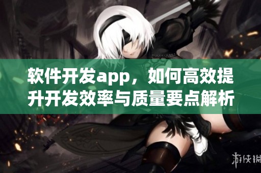 软件开发app，如何高效提升开发效率与质量要点解析