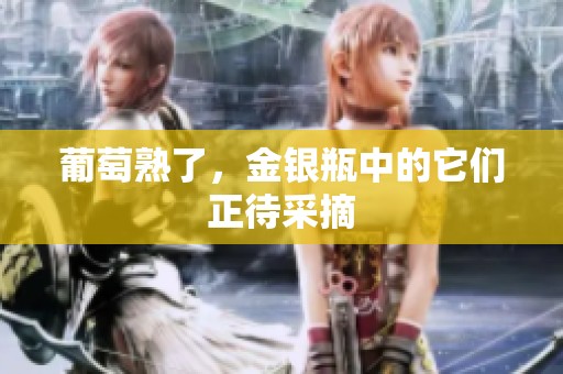 葡萄熟了，金银瓶中的它们正待采摘
