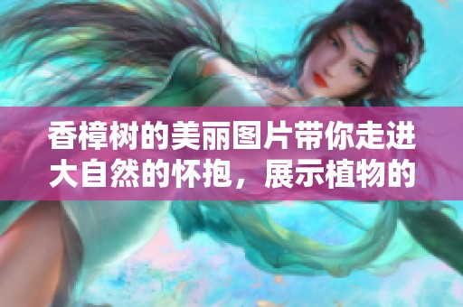 香樟树的美丽图片带你走进大自然的怀抱，展示植物的独特魅力