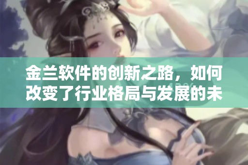 金兰软件的创新之路，如何改变了行业格局与发展的未来方向