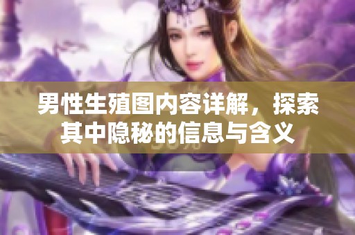 男性生殖图内容详解，探索其中隐秘的信息与含义