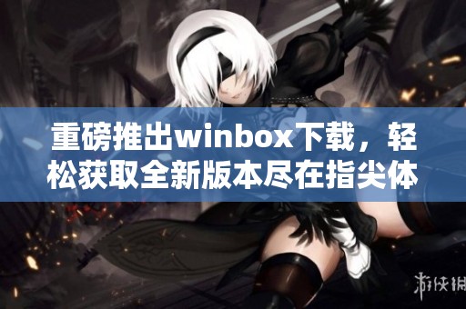 重磅推出winbox下载，轻松获取全新版本尽在指尖体验
