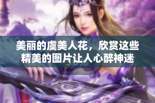 美丽的虞美人花，欣赏这些精美的图片让人心醉神迷