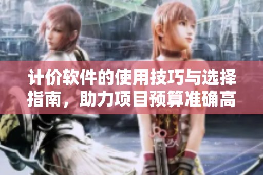 计价软件的使用技巧与选择指南，助力项目预算准确高效完成