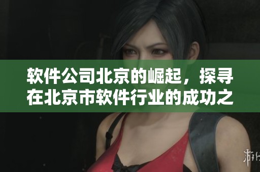 软件公司北京的崛起，探寻在北京市软件行业的成功之道
