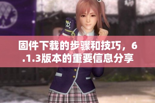 固件下载的步骤和技巧，6.1.3版本的重要信息分享