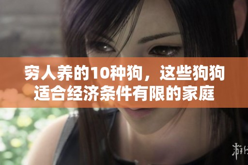 穷人养的10种狗，这些狗狗适合经济条件有限的家庭