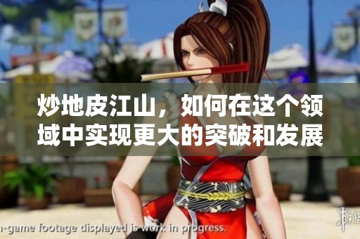 炒地皮江山，如何在这个领域中实现更大的突破和发展