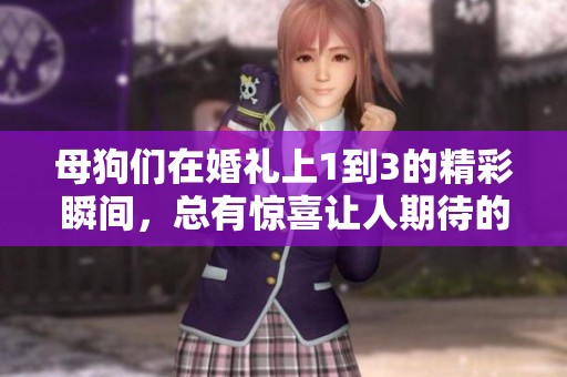 母狗们在婚礼上1到3的精彩瞬间，总有惊喜让人期待的故事