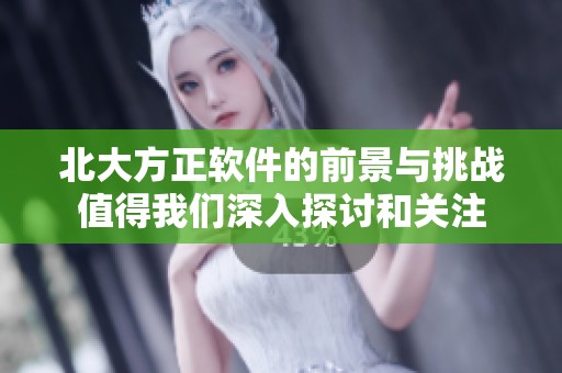 北大方正软件的前景与挑战值得我们深入探讨和关注