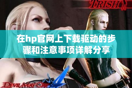 在hp官网上下载驱动的步骤和注意事项详解分享