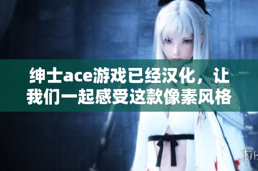 绅士ace游戏已经汉化，让我们一起感受这款像素风格的魅力吧