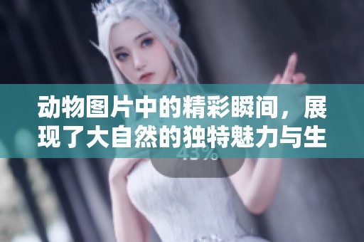 动物图片中的精彩瞬间，展现了大自然的独特魅力与生命的多样性