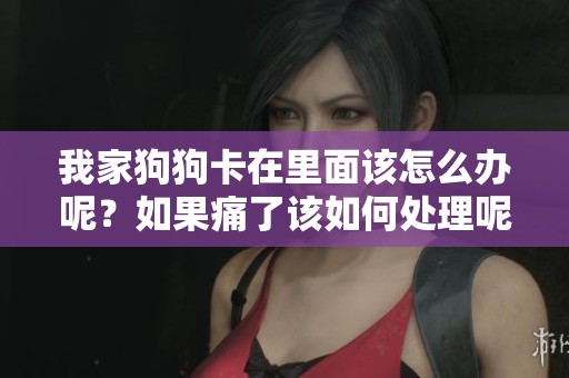 我家狗狗卡在里面该怎么办呢？如果痛了该如何处理呢？