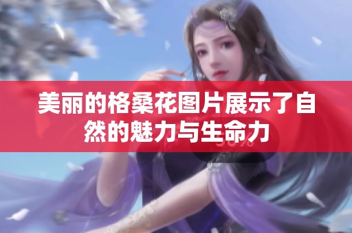美丽的格桑花图片展示了自然的魅力与生命力