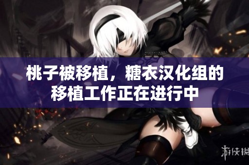 桃子被移植，糖衣汉化组的移植工作正在进行中