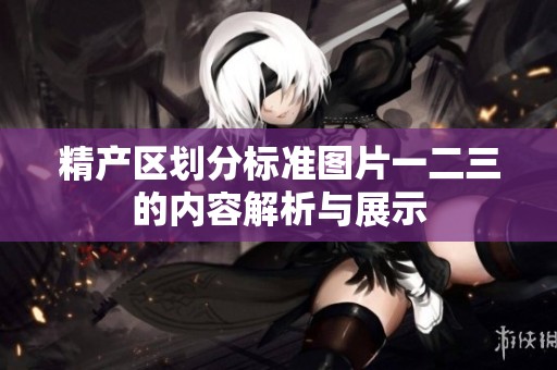 精产区划分标准图片一二三的内容解析与展示