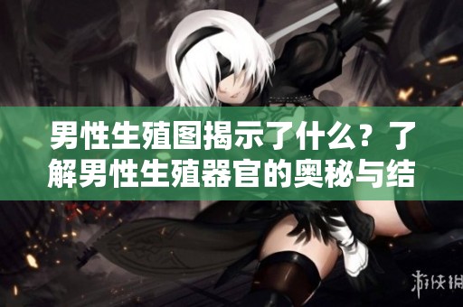 男性生殖图揭示了什么？了解男性生殖器官的奥秘与结构。