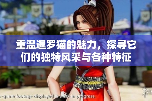 重温暹罗猫的魅力，探寻它们的独特风采与各种特征