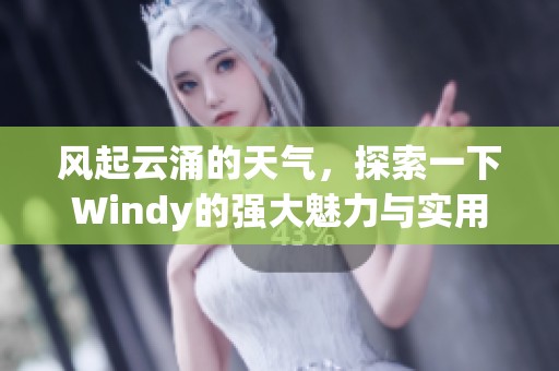 风起云涌的天气，探索一下Windy的强大魅力与实用性