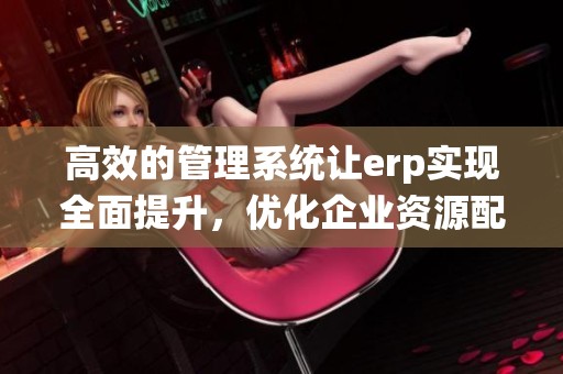 高效的管理系统让erp实现全面提升，优化企业资源配置与流程管理