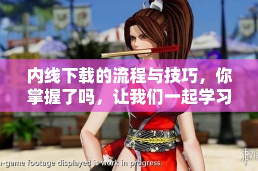 内线下载的流程与技巧，你掌握了吗，让我们一起学习吧