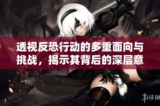 透视反恐行动的多重面向与挑战，揭示其背后的深层意义