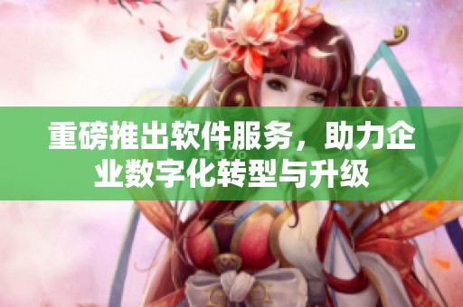 重磅推出软件服务，助力企业数字化转型与升级