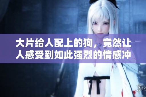 大片给人配上的狗，竟然让人感受到如此强烈的情感冲击