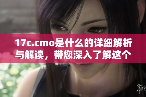 17c.cmo是什么的详细解析与解读，带您深入了解这个概念的含义和应用