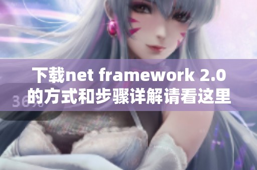下载net framework 2.0的方式和步骤详解请看这里