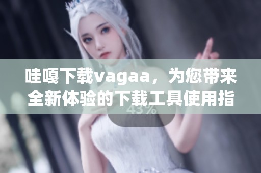 哇嘎下载vagaa，为您带来全新体验的下载工具使用指南