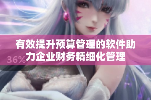 有效提升预算管理的软件助力企业财务精细化管理