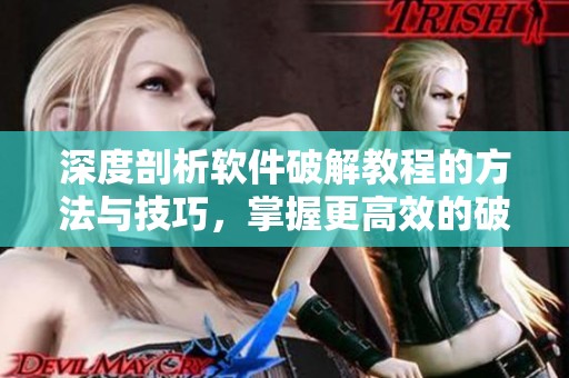 深度剖析软件破解教程的方法与技巧，掌握更高效的破解技巧