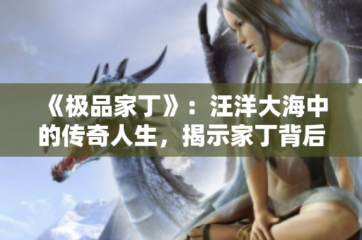 《极品家丁》：汪洋大海中的传奇人生，揭示家丁背后的故事与荣耀