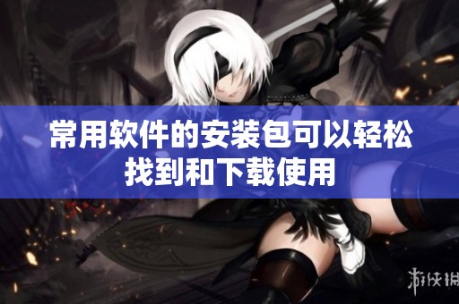 常用软件的安装包可以轻松找到和下载使用