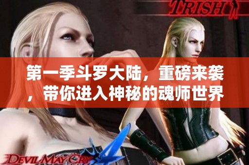 第一季斗罗大陆，重磅来袭，带你进入神秘的魂师世界！