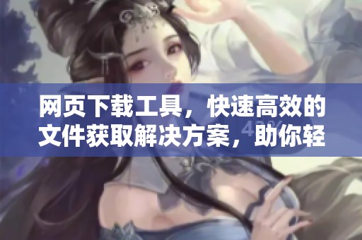 网页下载工具，快速高效的文件获取解决方案，助你轻松完成下载任务