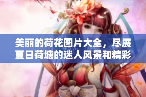 美丽的荷花图片大全，尽展夏日荷塘的迷人风景和精彩瞬间