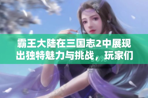 霸王大陆在三国志2中展现出独特魅力与挑战，玩家们快来体验！