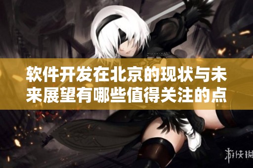 软件开发在北京的现状与未来展望有哪些值得关注的点？