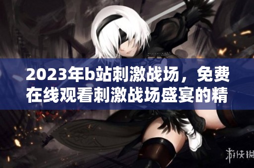 2023年b站刺激战场，免费在线观看刺激战场盛宴的精彩内容