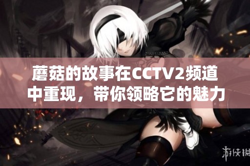 蘑菇的故事在CCTV2频道中重现，带你领略它的魅力与价值