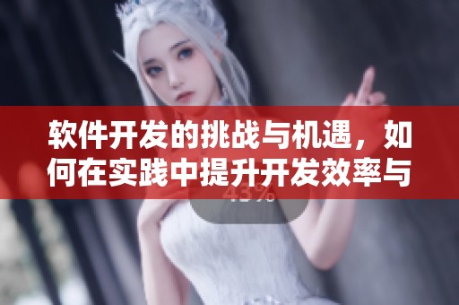 软件开发的挑战与机遇，如何在实践中提升开发效率与质量