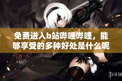 免费进入b站哔哩哔哩，能够享受的多种好处是什么呢