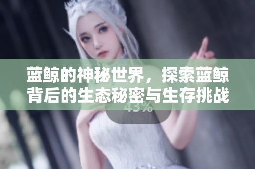 蓝鲸的神秘世界，探索蓝鲸背后的生态秘密与生存挑战