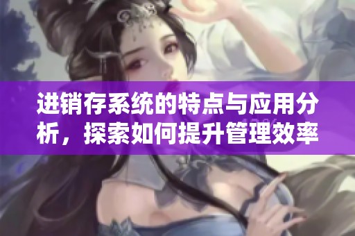 进销存系统的特点与应用分析，探索如何提升管理效率与优化资源配置