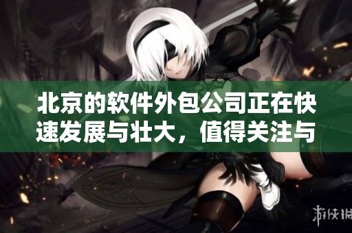 北京的软件外包公司正在快速发展与壮大，值得关注与选择的合作伙伴
