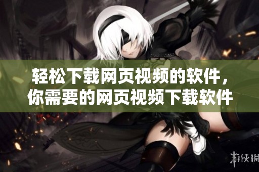 轻松下载网页视频的软件，你需要的网页视频下载软件就在这里！